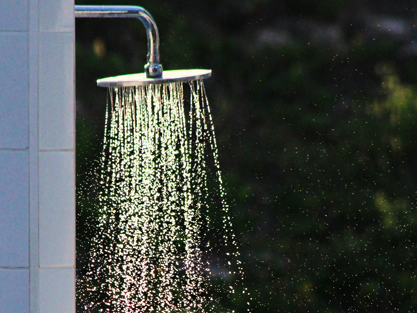 Photo of a water-saving shower head by Missoula, Montana plumbing company